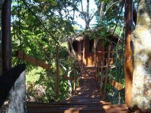 phoca_thumb_l_casa na arvore