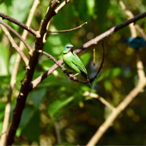 IMG-20171111-WA0028