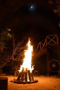 parteexterna07