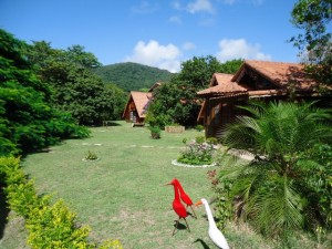 phoca_thumb_l_dsc00065