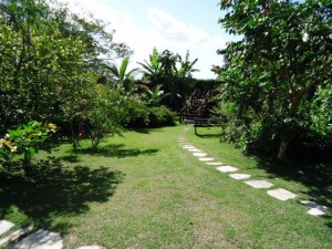 phoca_thumb_l_dsc00077