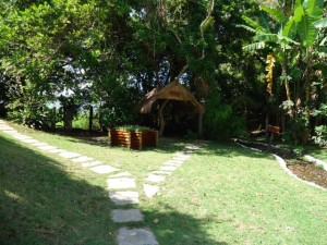 phoca_thumb_l_dsc00082