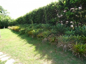 phoca_thumb_l_dsc00083